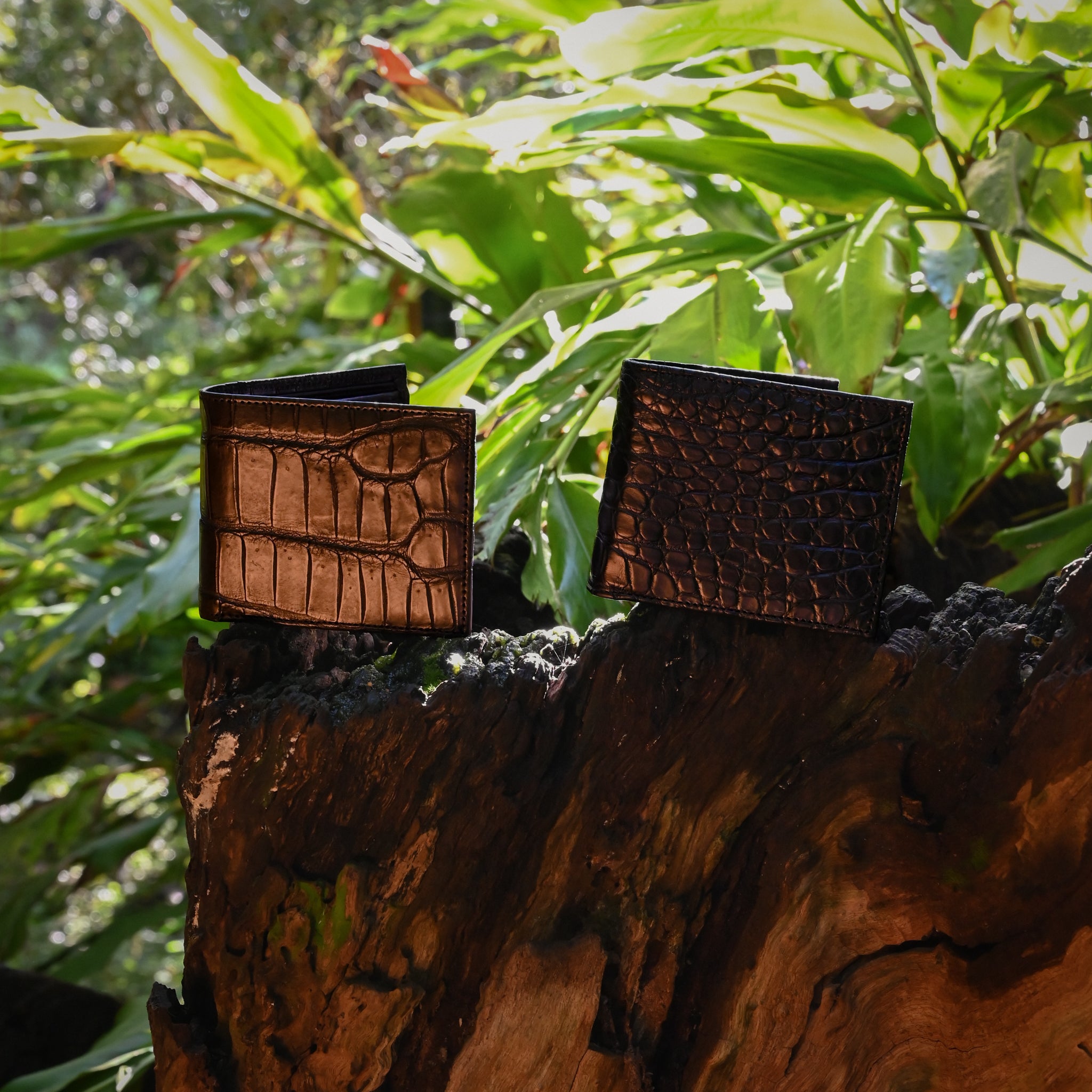 Crocodile Wallet | 7 Cards, Coin Pouch & ID Window