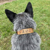 Dog Collar 1.5inch width