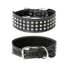 studded dog collar 2 inch width - black