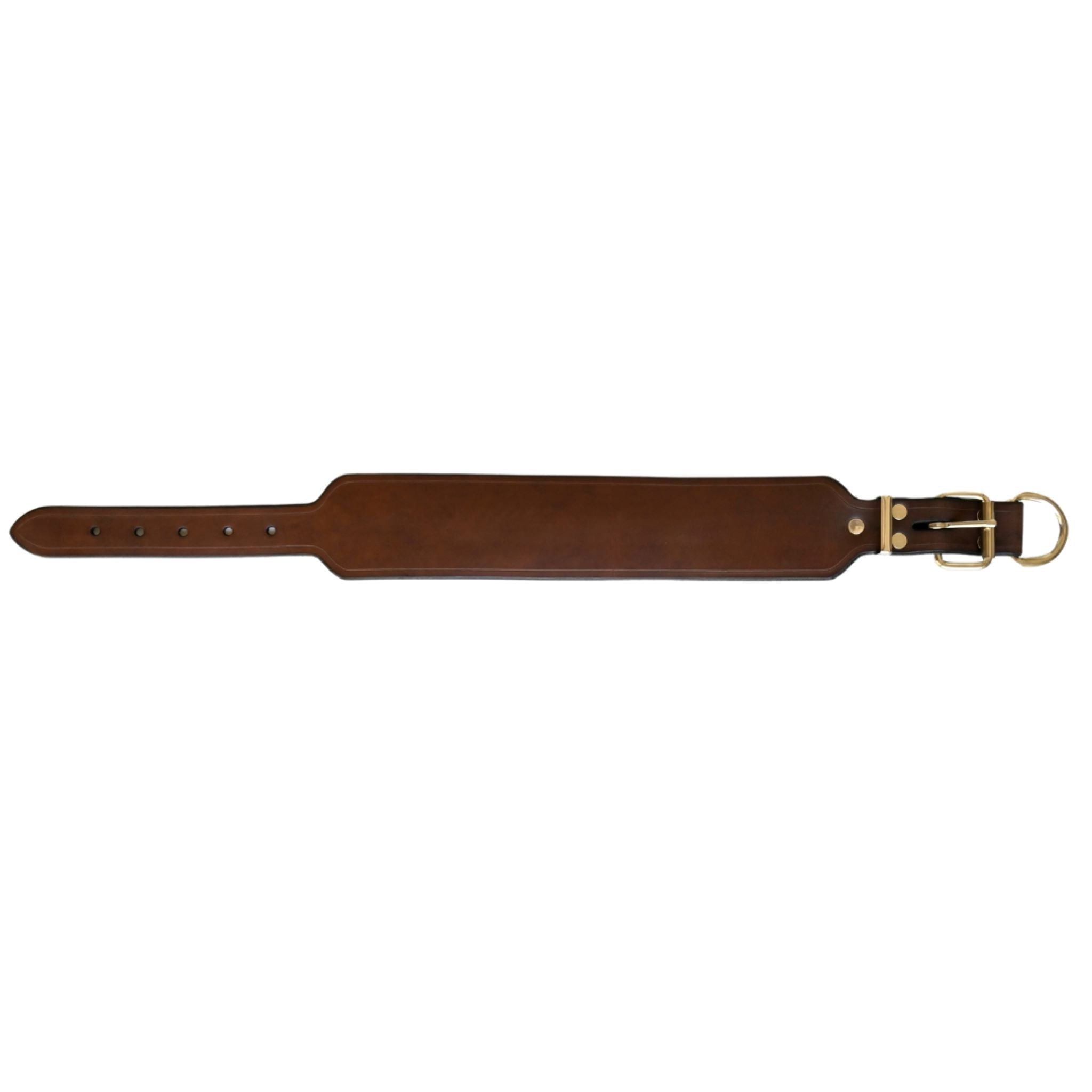Dog Collar - 2 1/2