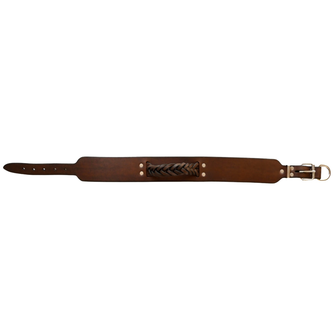 cowhide dog collar with plaited handle