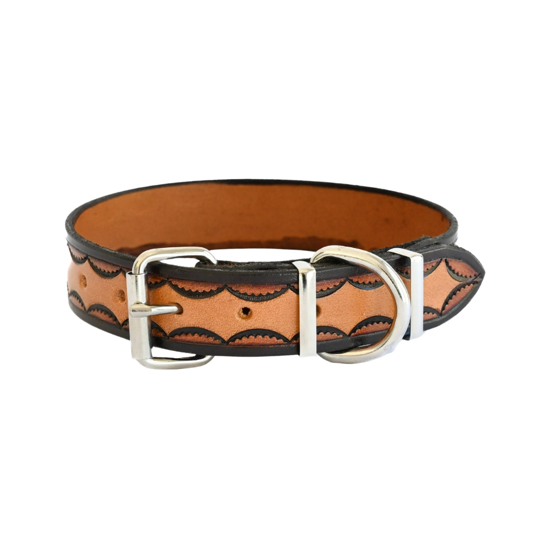 embossed dog collar 1 and a quarter inch width