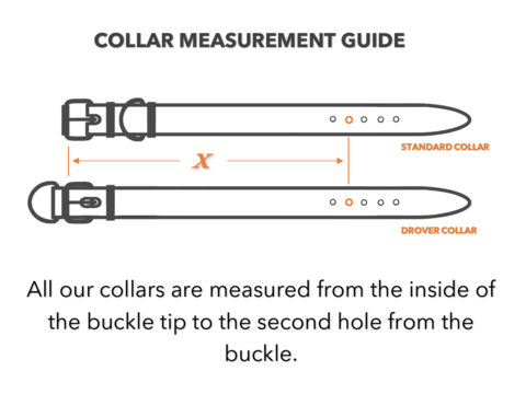 COLLAR MEASUREMENT GUIDE