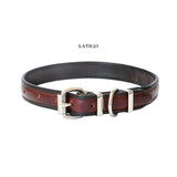Dog Collar - 3/4" (19mm) Width