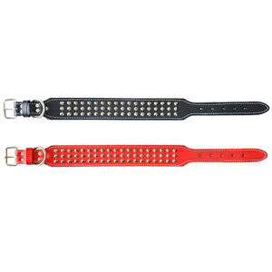 studded dog collar 2 inch width