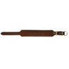 Dog Collar - 2 1/2" Width
