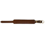 Dog Collar - 2 1/2" Width