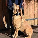 Crocodile Leather Dog Lead