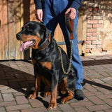 Crocodile Leather Dog Lead