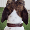 Dog Collar - 1" (25mm) Width