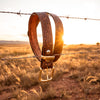 Cities & Towns Belt