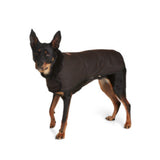 Oilskin Dog Raincoat
