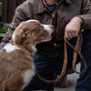 cowhide plaited dog lead