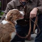 cowhide plaited dog lead