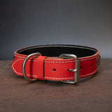 Studded Dog Collar - 1 1/2" (38mm) Width