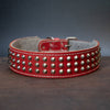 Studded Dog Collar - 2" (50mm) Width