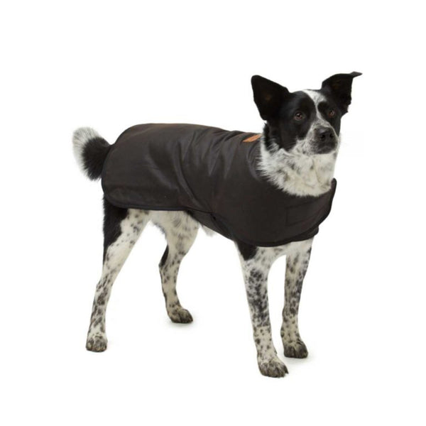 Woollen Oilskin Dog Coat