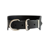 2.5" Wide Dog Collar Black