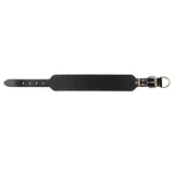 2.5" Wide Dog Collar Black