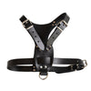 black leather dog harness