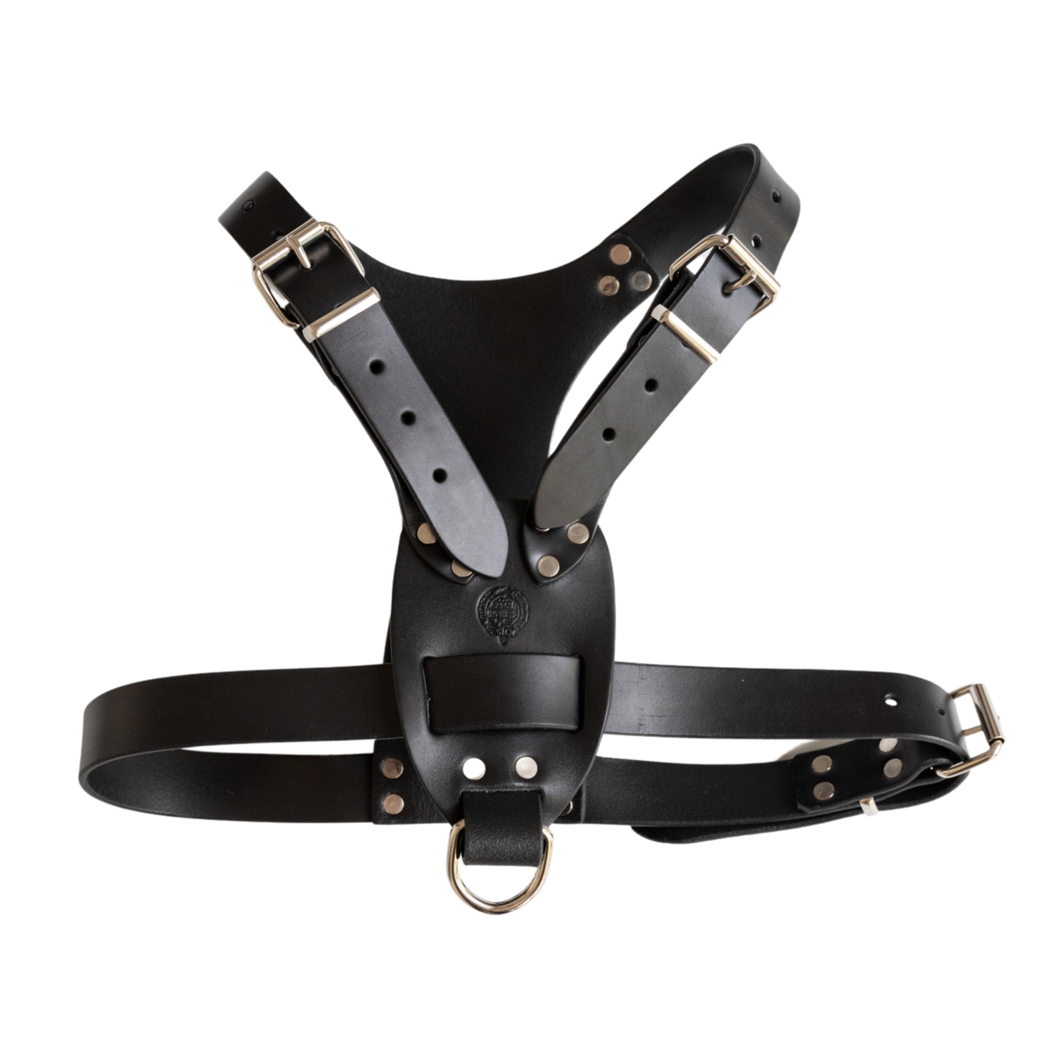 Black leather store dog harness