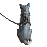 leather dog harness and accessories