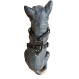 leather dog harness